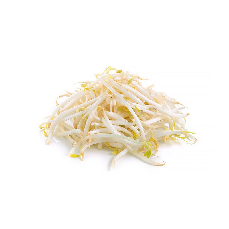 Soybean Sprouts 500g